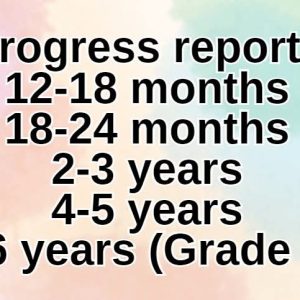 Progress reports editable templates