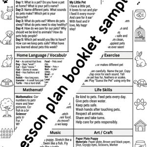Home lesson plan book